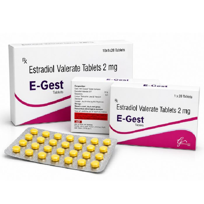 E-Gest