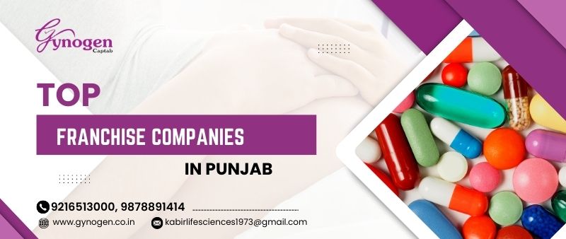 Best 15 PCD Pharma Franchise Companies in Punjab