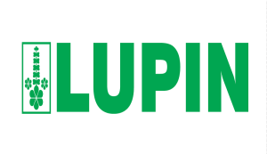 lupin