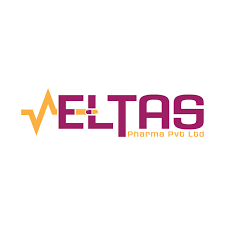 Best Gyane Companies in Noida